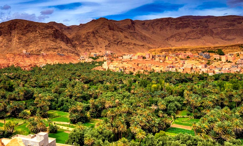 Camel trekking in Merzouga