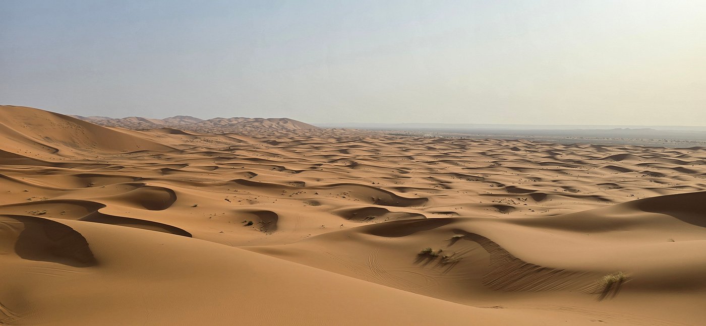Camel trekking in Merzouga